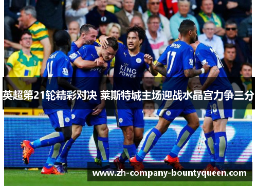 英超第21轮精彩对决 莱斯特城主场迎战水晶宫力争三分