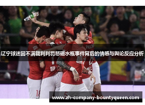 辽宁球迷因不满裁判判罚怒砸水瓶事件背后的情感与舆论反应分析